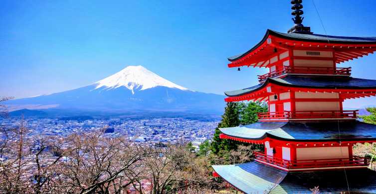 Da Tokyo/Yokohama: Escursione privata di un giorno al monte Fuji e ad Hakone