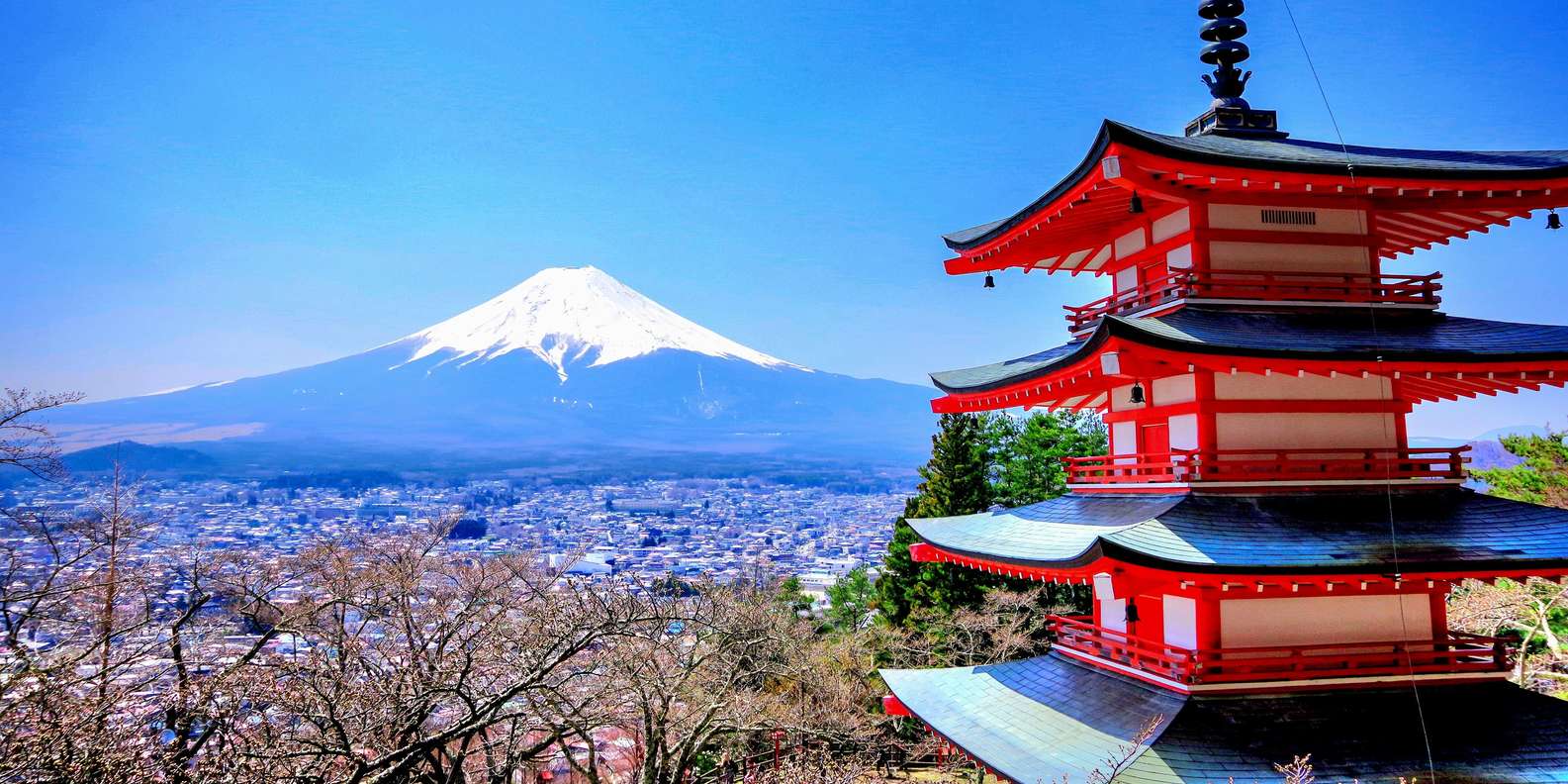 Mount Fuji Full-Day Private Tour from Tokyo (Customizable)
