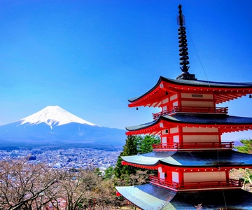 東京・横浜発：富士山と箱根 日帰りプライベートツアー