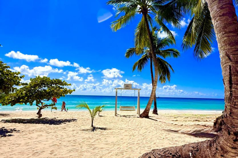 Punta Cana: Saona Island Paradise Catamaran Sightseeing Tour with Lunch and Drinks Punta Cana: Macao Beach and Local Dominican Experience