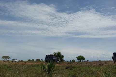 VILD MAVERICK -UGANDA LAND ROVER ESCAPADES | överlandare