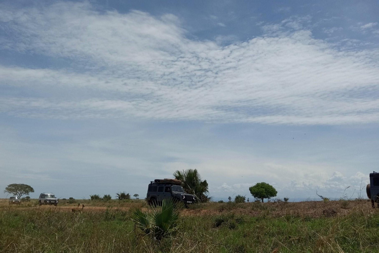 VILD MAVERICK -UGANDA LAND ROVER ESCAPADES | överlandare