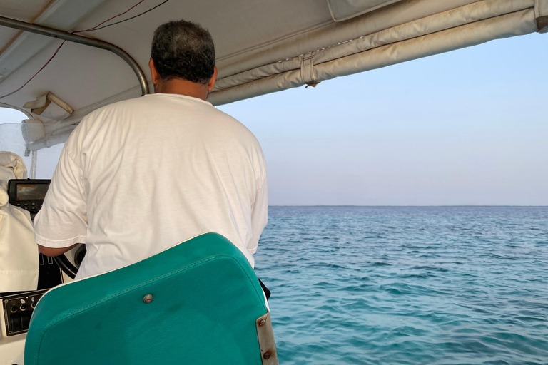 Jeddah: City Highlights Tour with Local Guide private tour