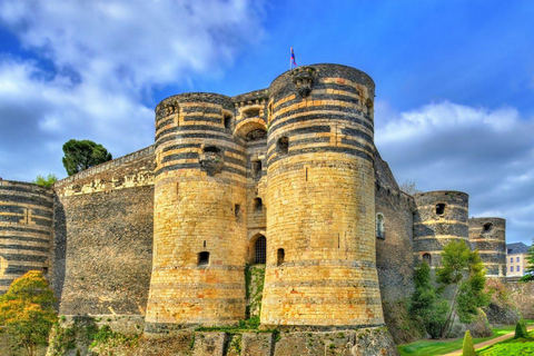 Reserva um serviço de motorista particular para Châteaux de la Loire