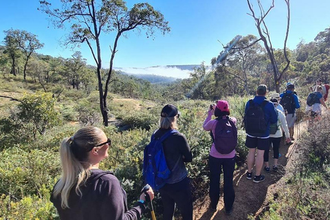 Perth: Caminhada, vinho e jantar em Perth Hills