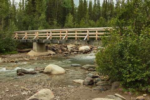 Denali National Park: Triple Lakes Trail Guided Hike
