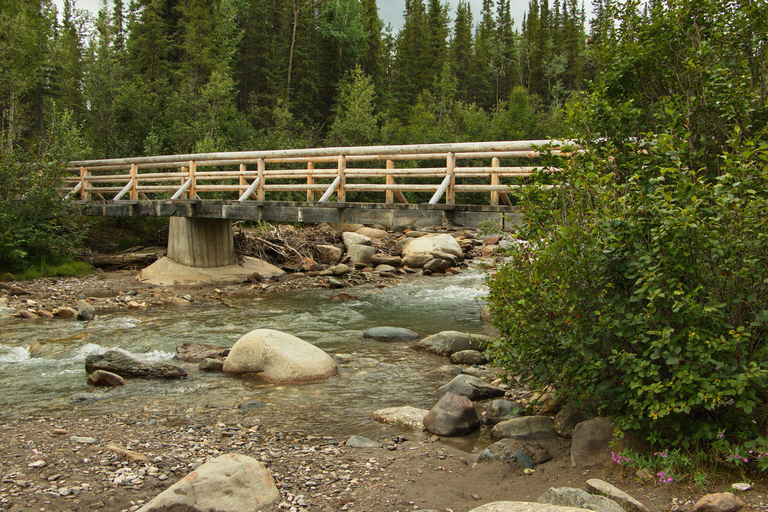 Denali National Park: Triple Lakes Trail Guided Hike