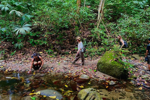 Minca Jungle Trek: Rivers, Tayrona Trails & Cacao Forest