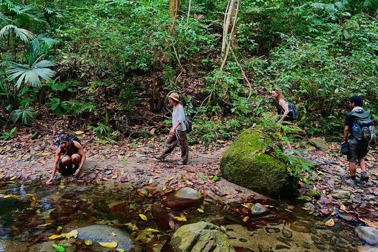 Minca Jungle Trek: Rivers, Tayrona Trails & Cacao Forest