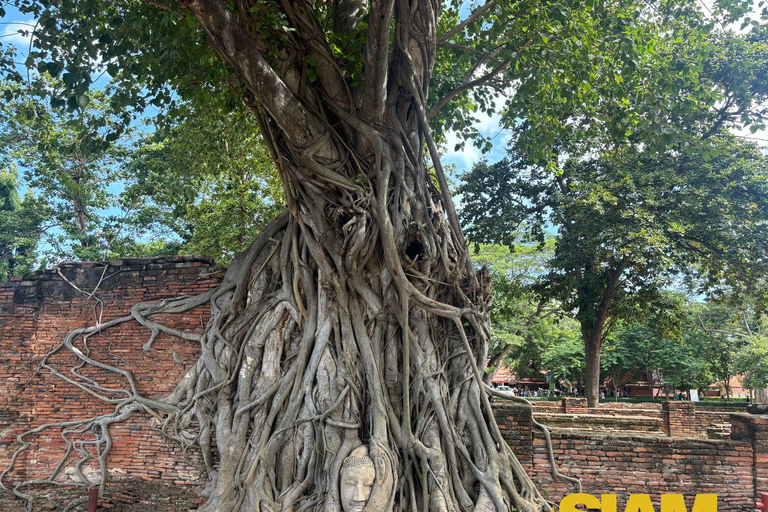 L&#039;incredibile tour degli antichi templi di Ayutthaya: Da BangkokGruppo privato con guida in inglese