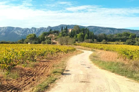 Plus qu'une excursion viticole : une journée à la campagne comme les gens du pays