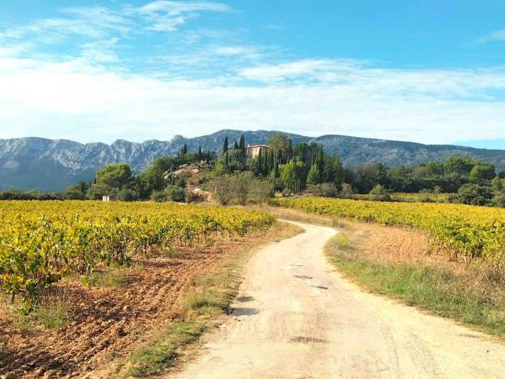 Aix e Marselha: Tour de vinhos, preparação de aperitivos e petanca