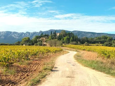 Mehr als eine Wein Tour: Ein Tag wie ein Einheimischer auf dem Lande