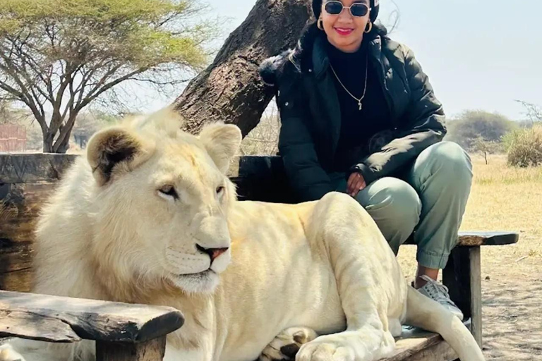 Serval Wildlife : Day Wildlife Tour With Animals Encounters