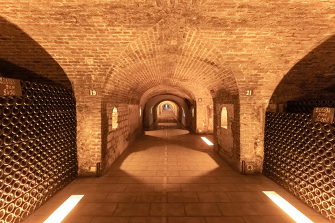 From Paris: Day Trip to Champagne with 8 Tastings & Lunch Private Tour