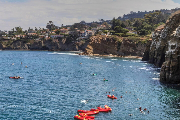 La Jolla - Le Joyau de San Diego - tour guidé à pied