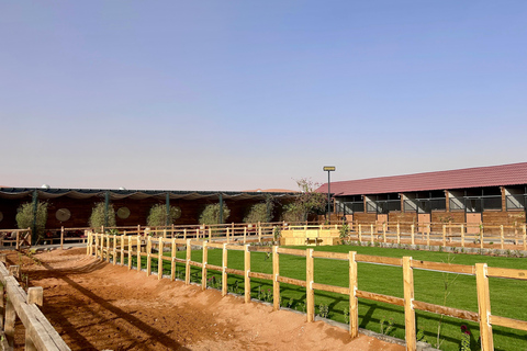 Riyadh: Authentic Arabian Experience Desert Camp Adventure