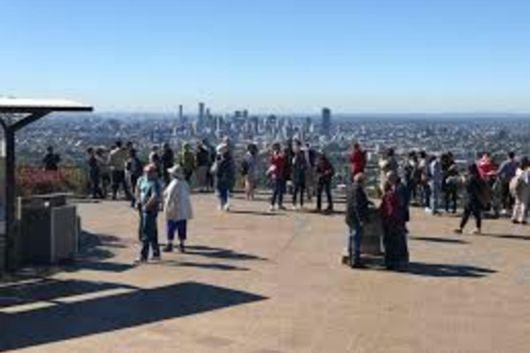 Brisbane: City Tour with Koala Sanctuary