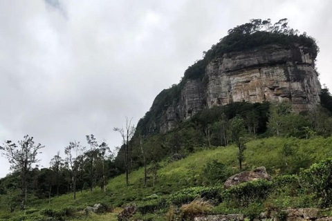 Kandy: Sir James Taylor’s Loolkandura Tea Heritage Hike