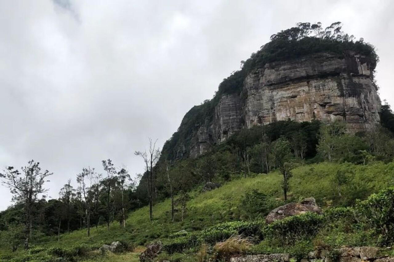 Kandy: Sir James Taylor’s Loolkandura Tea Heritage Hike