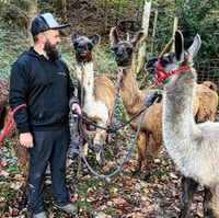 Lamawanderung mit traditionellem Raclette - Hizvo
