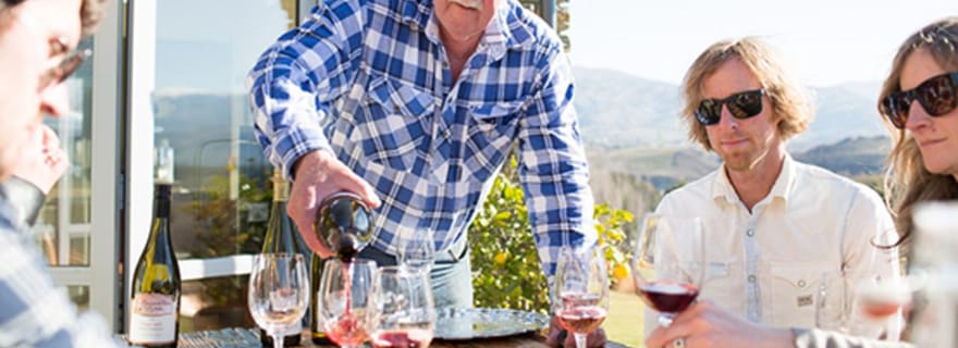 Wanaka : visite œnologique boutique l'après-midi