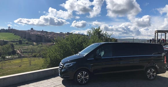 Ávila und Segovia: Private Tour im Minivan von Madrid aus