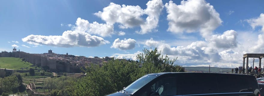 Avila et Ségovie : Visite privée en minibus depuis Madrid