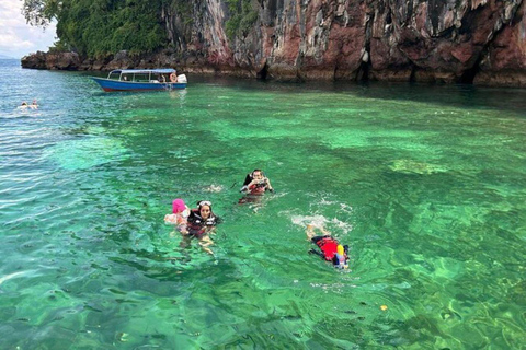 Langkawi: 4 Hours Private Mangrove Kilim Geoforest Boat Tour