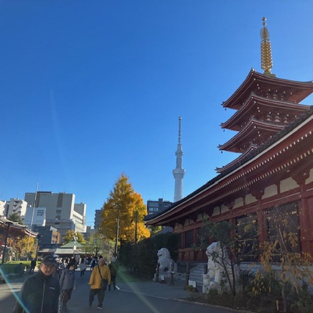メディア コラージュ