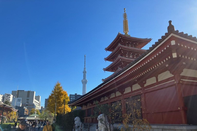 Tokyo : Full-Day Bus Tour w/ Buffet Lunch & Tea Ceremony Tokyo Departure