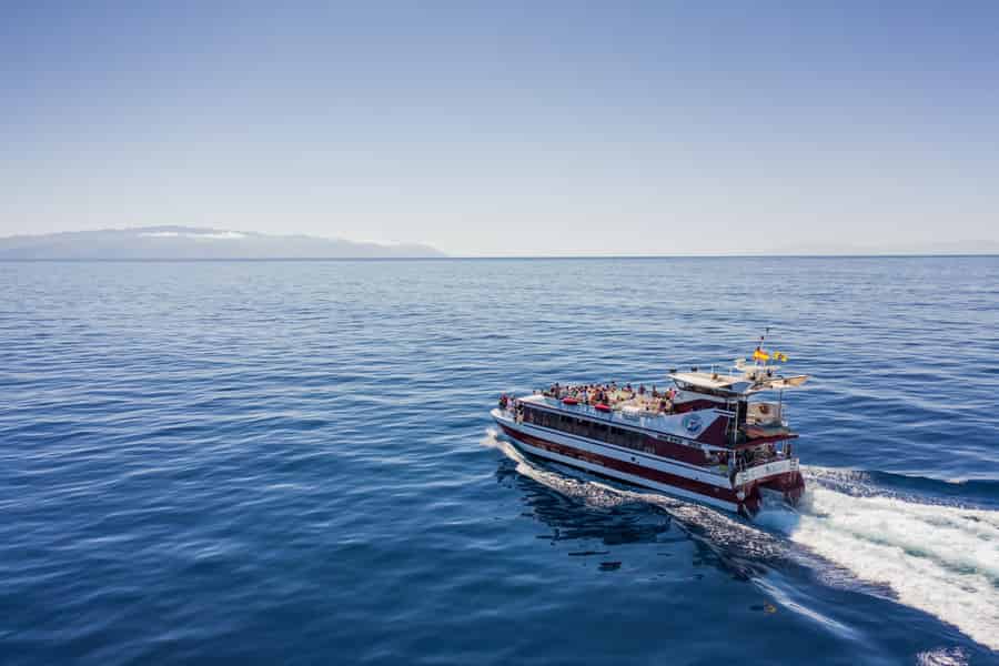 Adeje: 2-stündige Wal- & Delfin-Fahrt mit Unterwasser-Beobachtung. Foto: GetYourGuide Adeje: 2-stündige Wal- & Delfin-Fahrt mit Unterwasser-Beobachtung. Foto: GetYourGuide