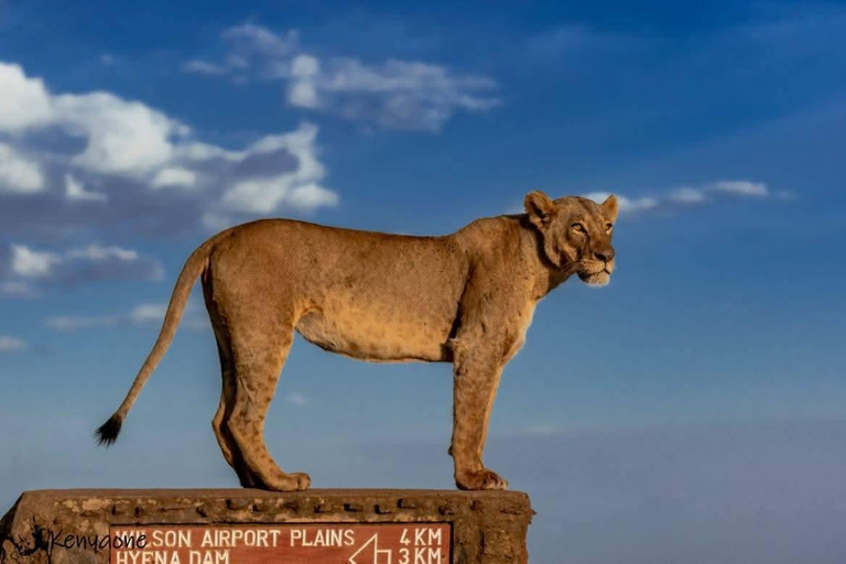 Nairobi: passeio de meio dia no Parque NacionalNairobi: tour privado de meio dia no Parque Nacional