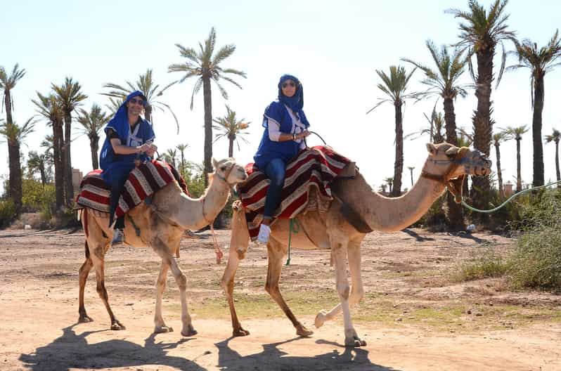 Balade à dos de chameau dans la Palmeraie de Marrakech avec pause thé - dromadaire