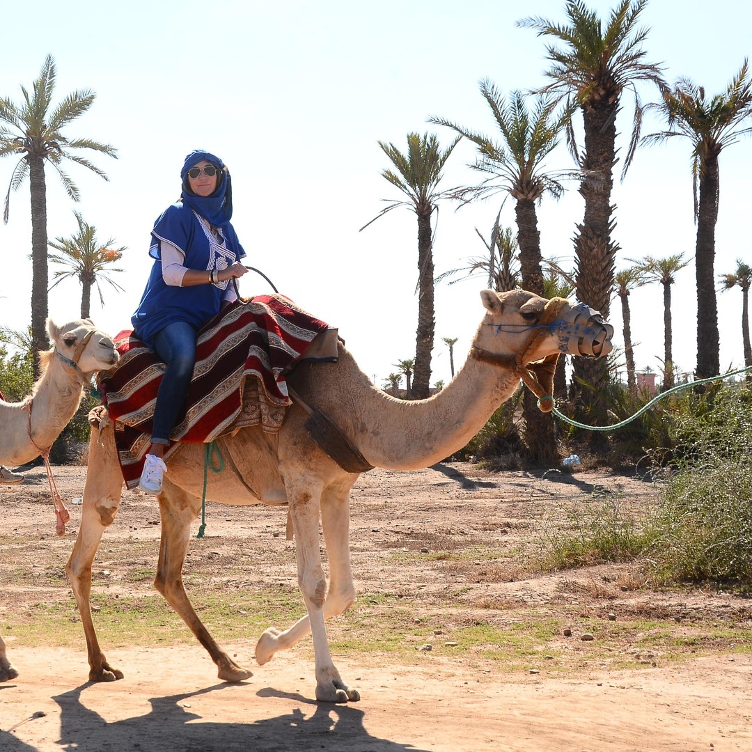 Balade à dos de chameau dans la Palmeraie de Marrakech avec pause thé - dromadaire