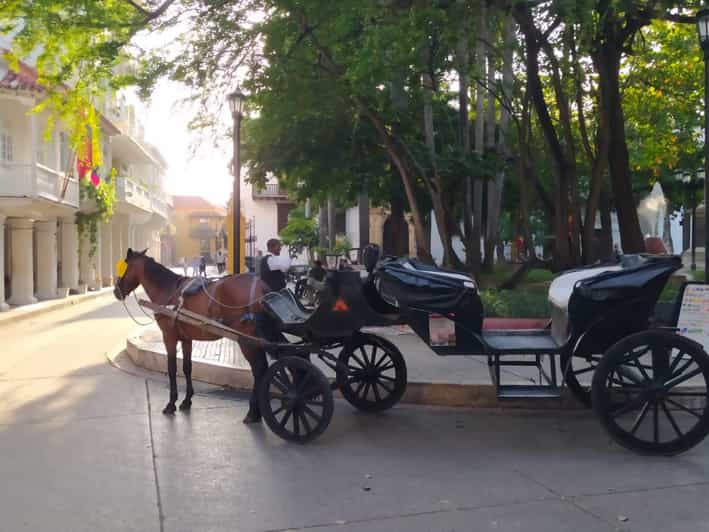 Galería de fotos para redes
