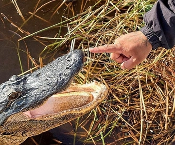 Miami: Everglades Full-Day Tour with 2 Boat Trips and Lunch