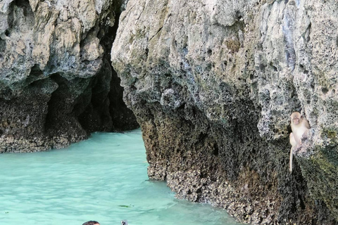 Phi Phi Island: Privat Longtail-båt 6 timmar Dagsutflykt