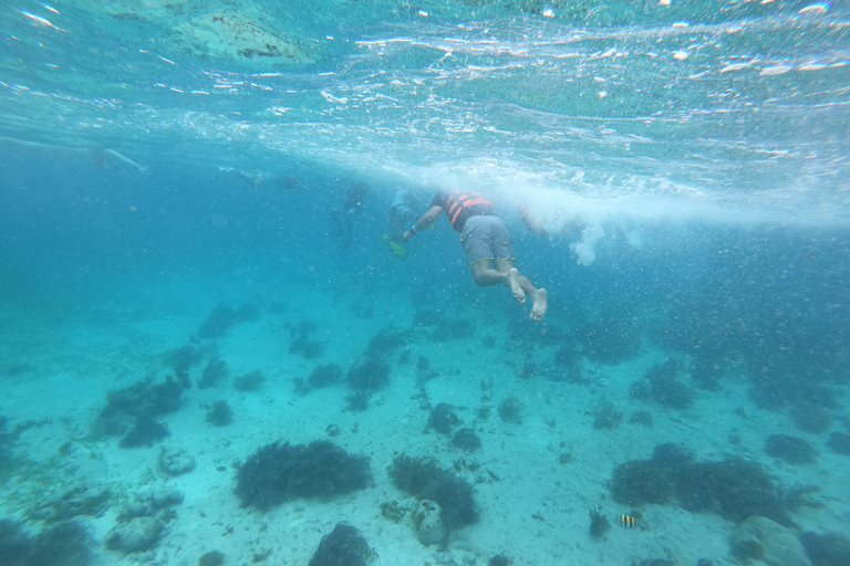 Cancun : Catamaran Isla Mujeres avec buffet, boissons et plongée en apnéeCircuit au départ de Cancun