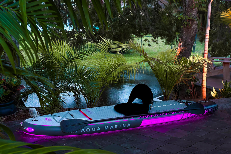 Orlando: Winter Park Paddle AdventureOrlando: Wycieczka na desce SUP w Winter Park