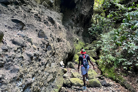St Kitts: Bloody Point River Hike Petroglyphs+Bat Cave