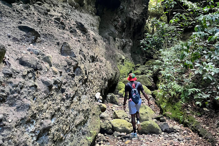 St Kitts: Bloody Point River Hike Petroglyphs+Bat Cave