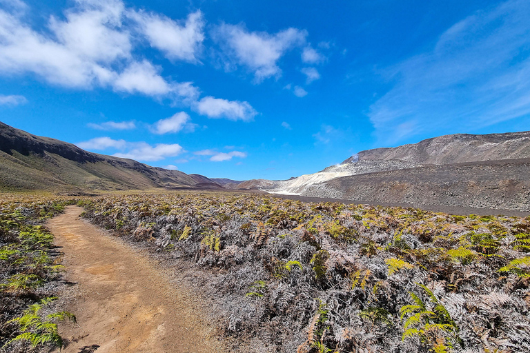 Galapagos: Luxury and Nature Premium 4D/3N Tour