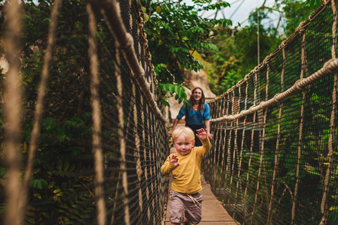 Kornwalia: Bilet wstępu do projektu Eden