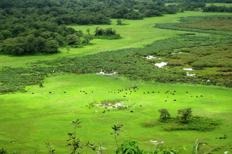 Arusha: Dagtrip Nationaal Park met Ngurdoto krater