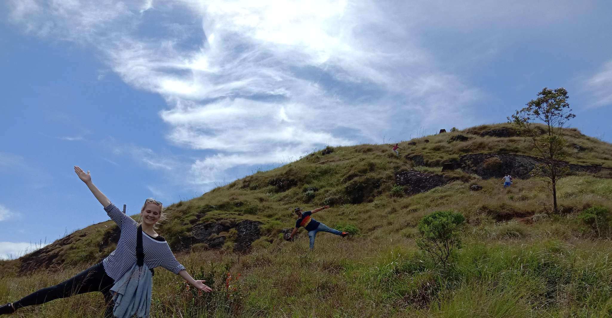 Munnar Tea Trek - Housity