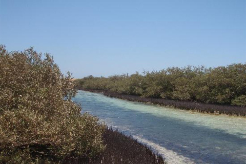 Sharm: Mangrove, Magic Lake, Earthquake Crack w/Snorkeling