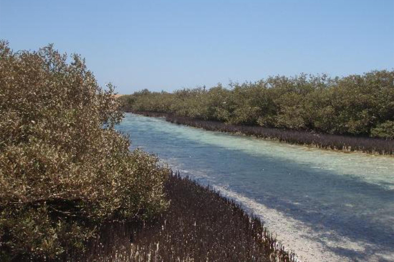 Sharm: Mangrove, Magic Lake, Earthquake Crack w/Snorkeling