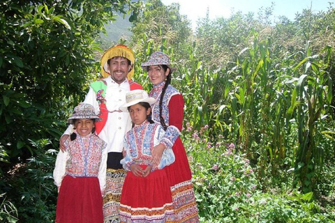 من هواكاتشينا: خطوط نازكا - أريكويبا - وادي كولكا - حافلة إلى بونو