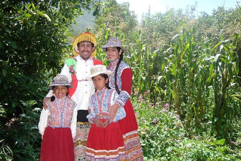 من هواكاتشينا: خطوط نازكا - أريكويبا - وادي كولكا - حافلة إلى بونو